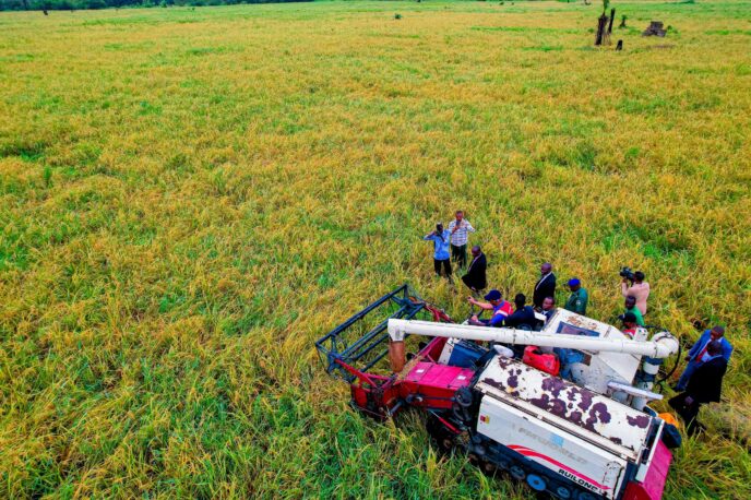 OGUN STATE TO ESTABLISH LAND MANAGEMENT AGENCY TO ENHANCE AGRICULTURAL INVESTMENT